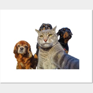Dogs and cat take a selfie Posters and Art